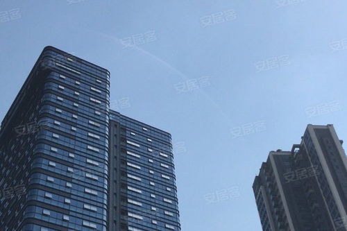 金地壹粵府綜合評(píng)析 優(yōu)勢、不足與市場口碑