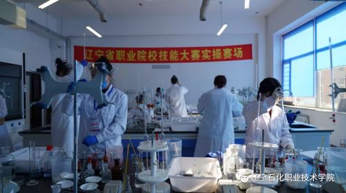 賦能未來(lái)技能 遼寧石化職業(yè)技術(shù)學(xué)院成功承辦2020年遼寧省職業(yè)院校技能大賽兩賽項(xiàng)選拔賽
