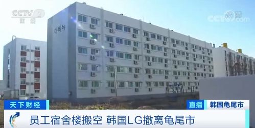 韓國(guó)龜尾市 芯片之城的轉(zhuǎn)型陣痛與未來(lái)之路